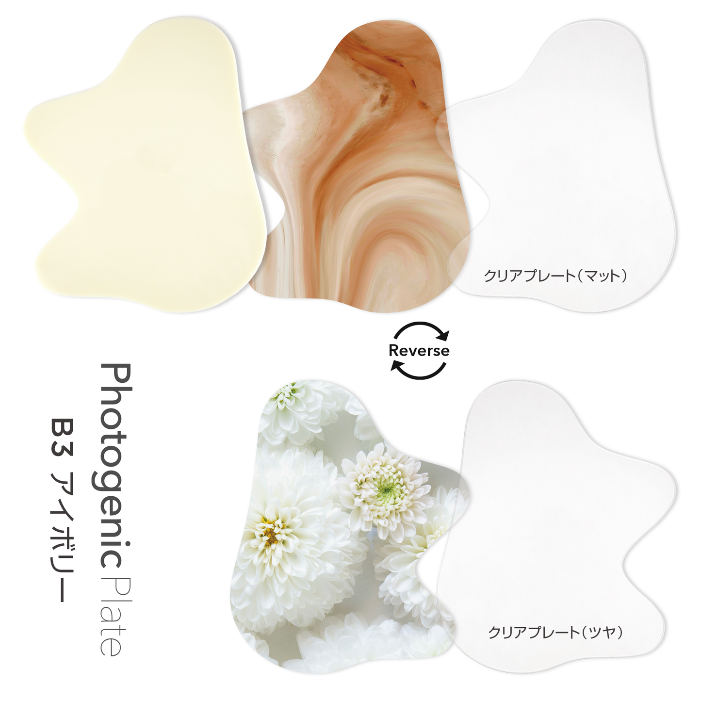 フォトジェニックプレート B3 アイボリーB3