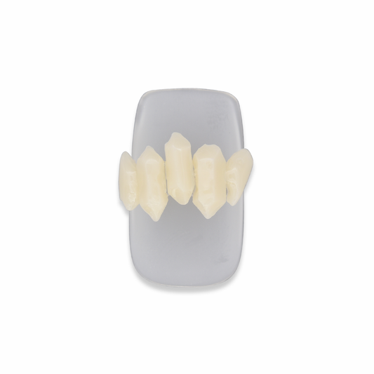 ｎｅｎｄｏ　ｇｅｌ　クリームＴ-ＣＮＤ01